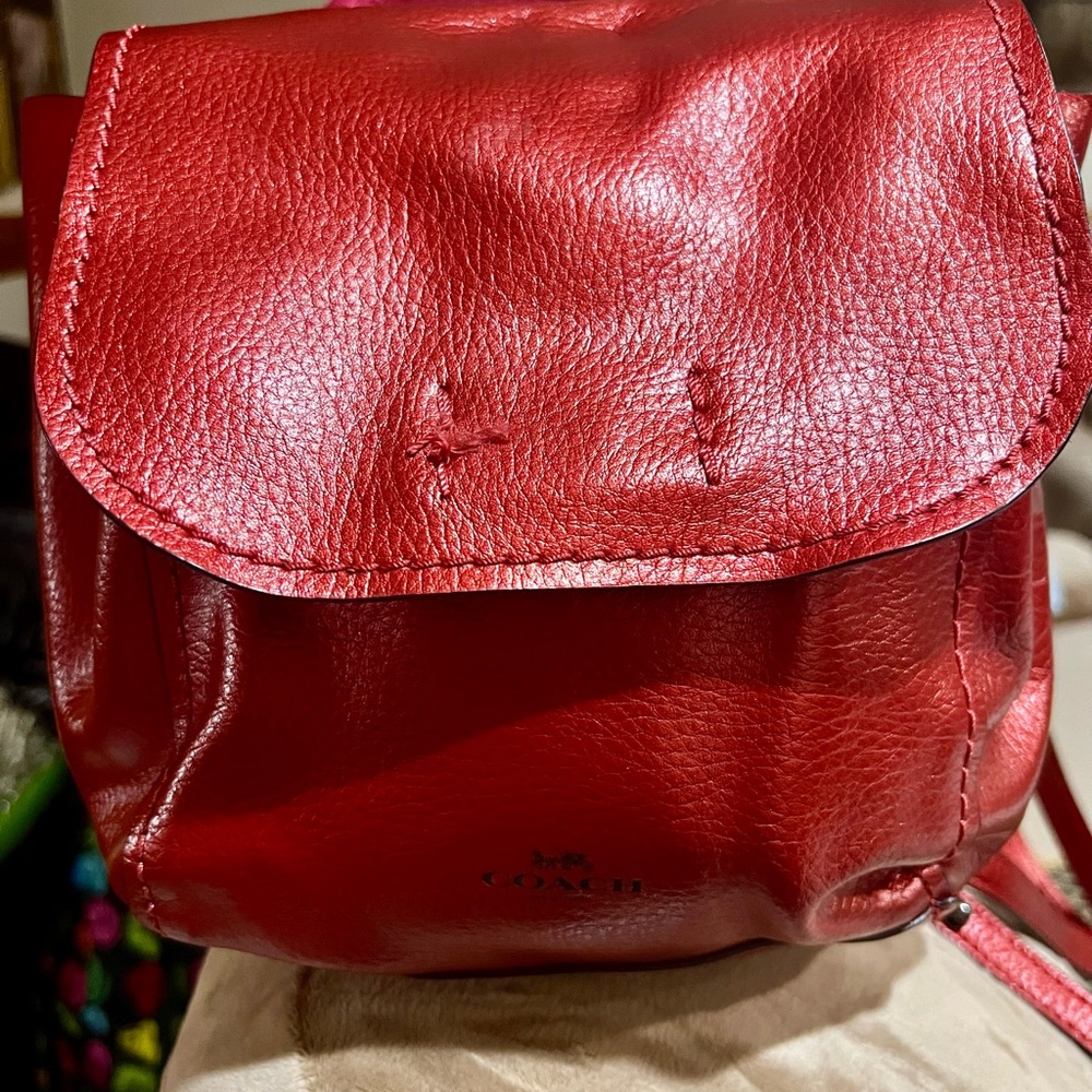 🍒🍒Buy Me🍒🥰COACH Metallic Convertible Derby Mini Backpack